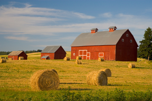 red barn and hay bales in a field under blue sky