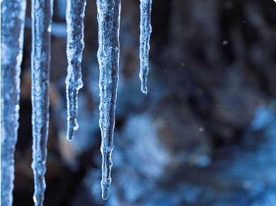 Icicles in Winter